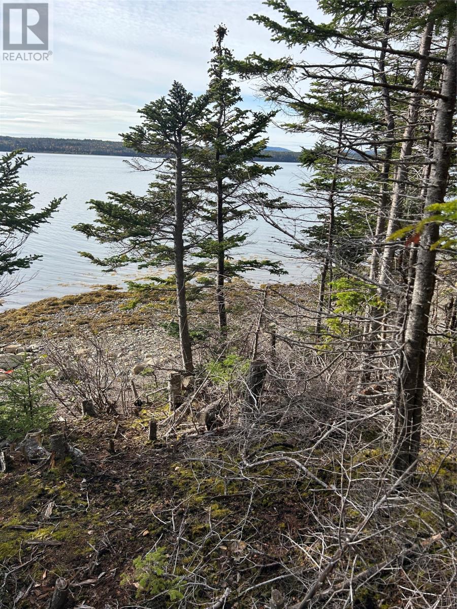 Lot # 04 Smith Sound Road, Harcourt, Newfoundland & Labrador  A5A 3A1 - Photo 2 - 1279606