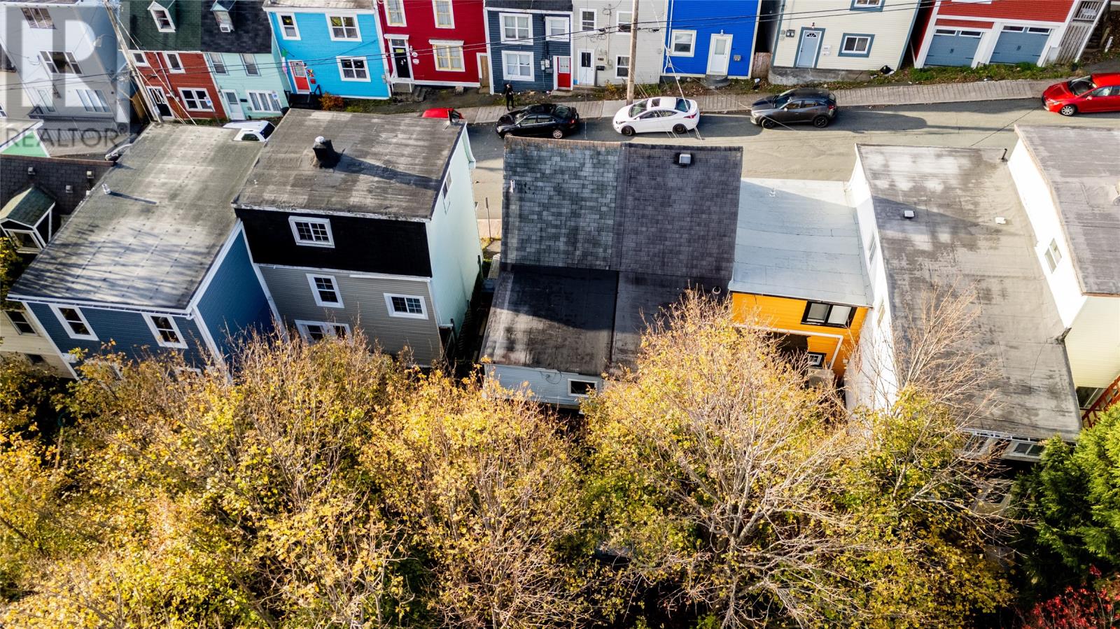 88 Lime Street, St.john's, Newfoundland & Labrador  A1C 4H7 - Photo 7 - 1279330