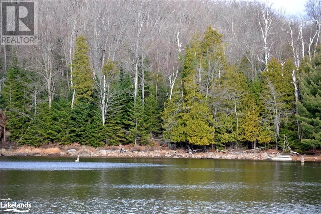 0 Clive Trail, Haliburton, Ontario K0M 1S0 - Photo 1 - 40679154