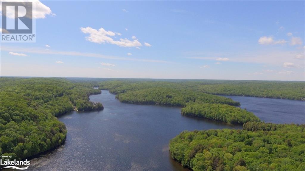 0 Clive Trail, Haliburton, Ontario K0M 1S0 - Photo 13 - 40679154