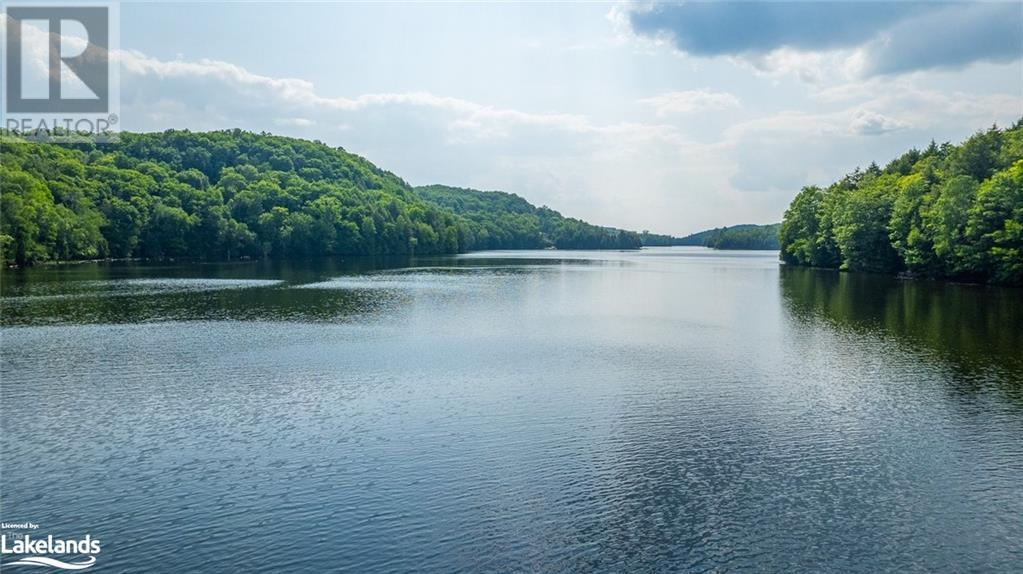 0 Clive Trail, Haliburton, Ontario K0M 1S0 - Photo 15 - 40679154