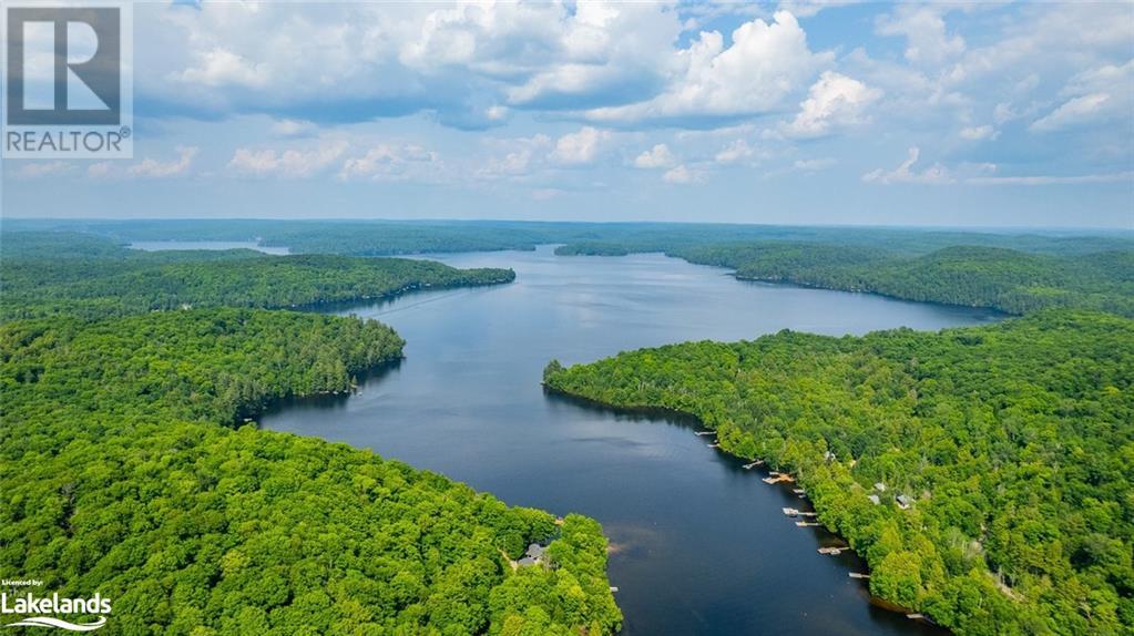 0 Clive Trail, Haliburton, Ontario K0M 1S0 - Photo 17 - 40679154