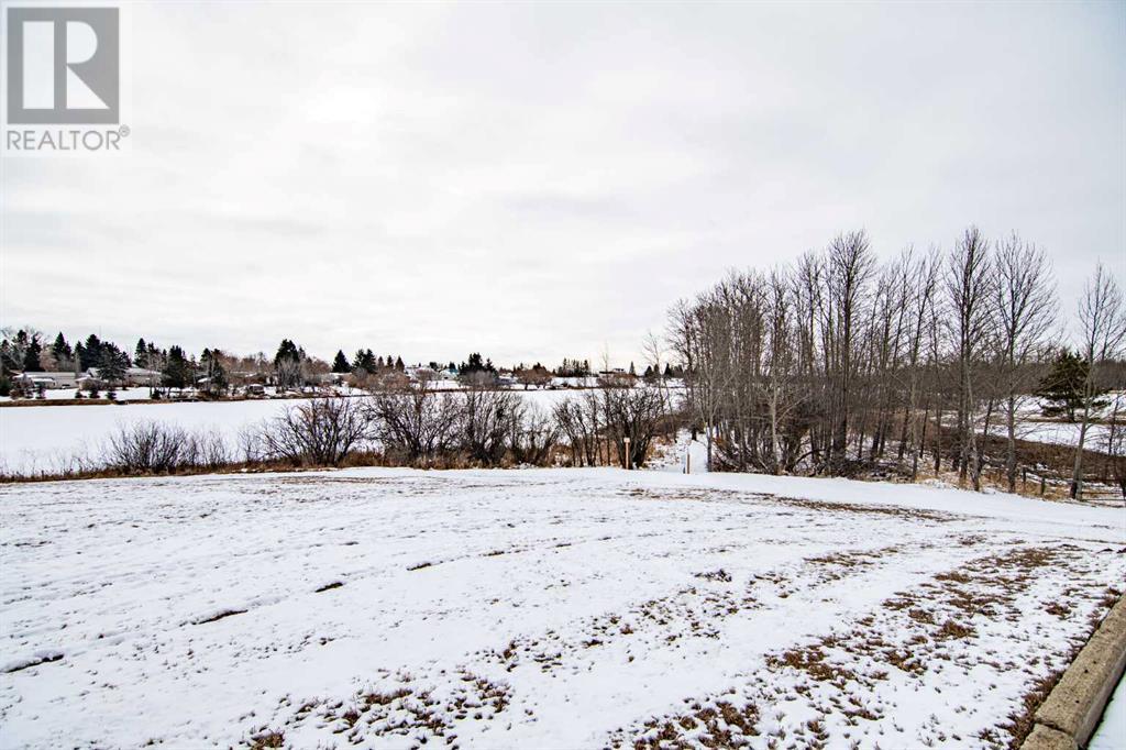 5403 49 Avenue, Alix, Alberta  T0C 0B0 - Photo 44 - A2119556