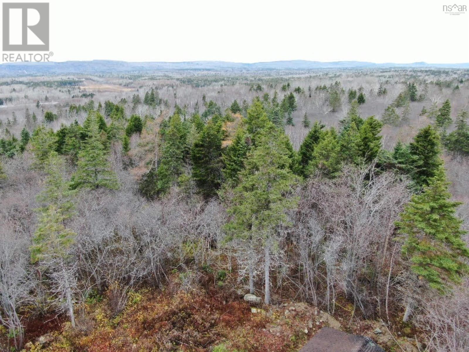 381 Marshalltown Road, Marshalltown, Nova Scotia  B0V 1A0 - Photo 14 - 202426994