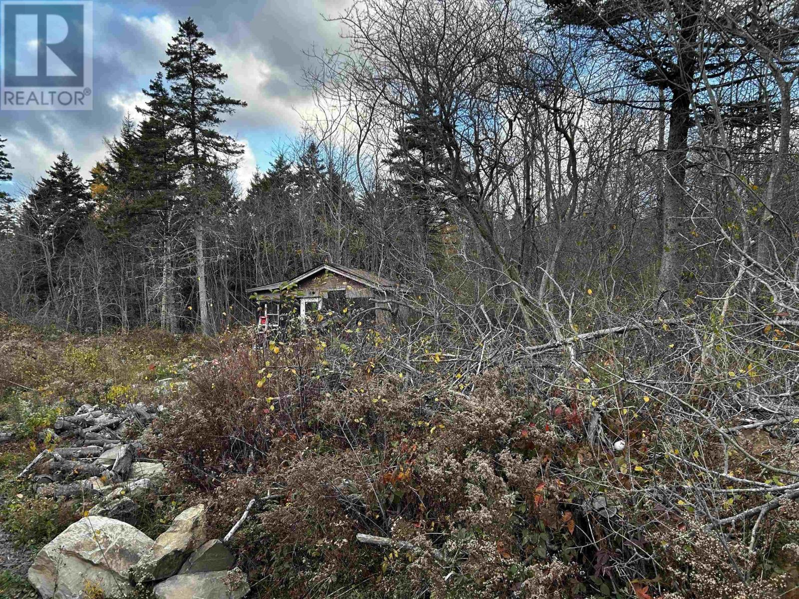 381 Marshalltown Road, Marshalltown, Nova Scotia  B0V 1A0 - Photo 2 - 202426994