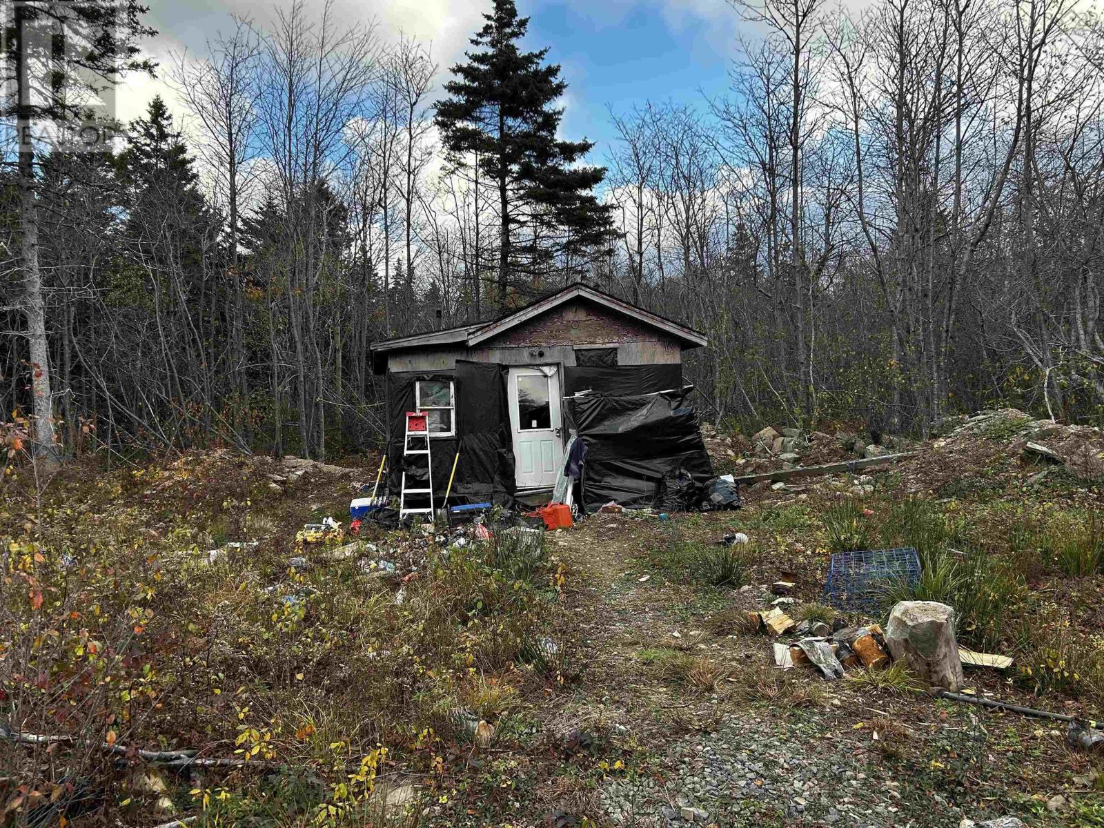 381 Marshalltown Road, Marshalltown, Nova Scotia  B0V 1A0 - Photo 4 - 202426994