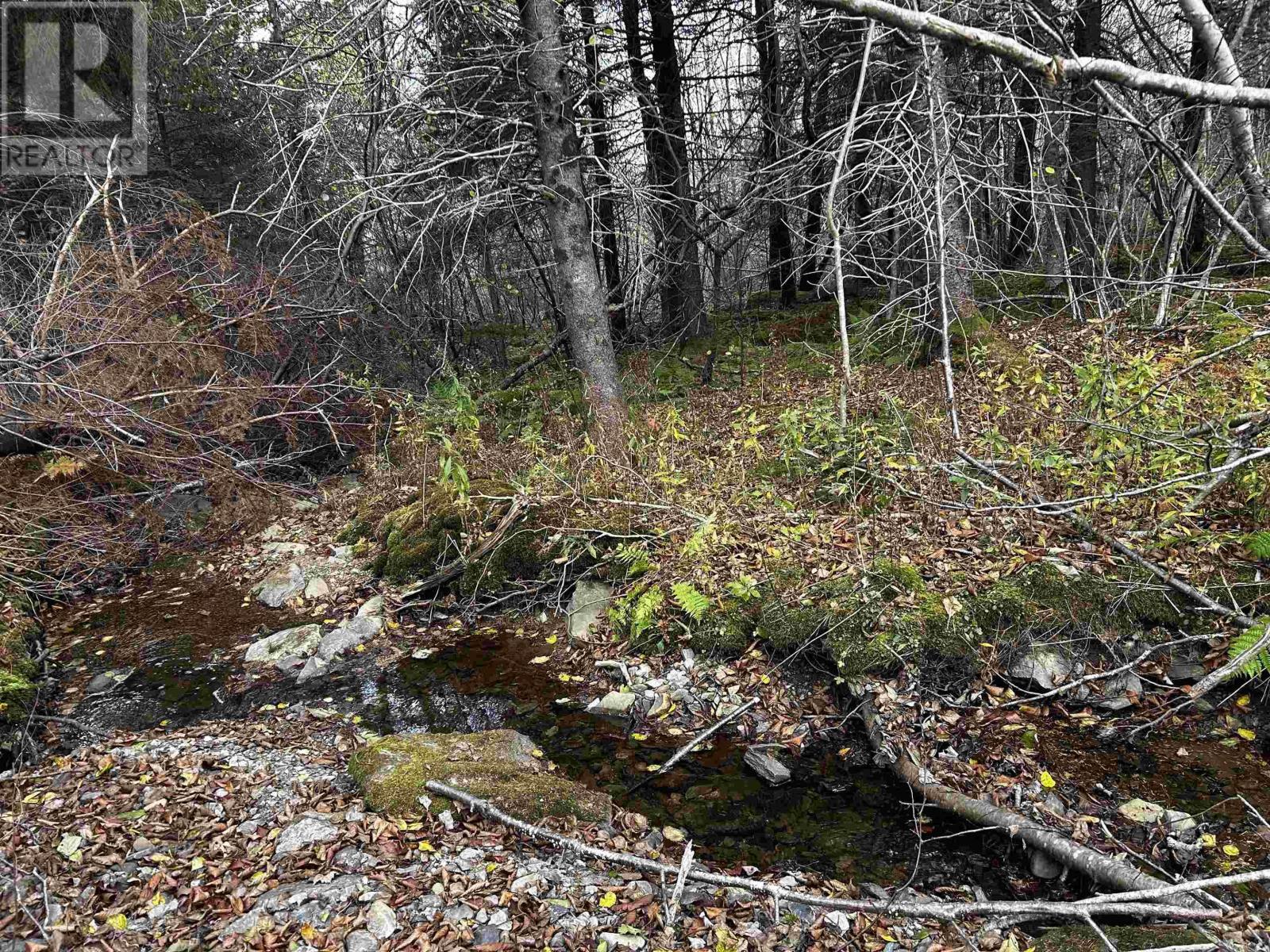 381 Marshalltown Road, Marshalltown, Nova Scotia  B0V 1A0 - Photo 8 - 202426994