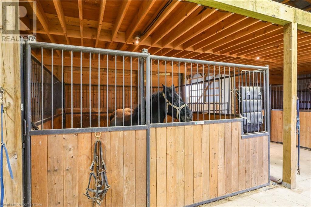 331 Russ Road, Grimsby, Ontario  L3M 4E7 - Photo 44 - 40678088