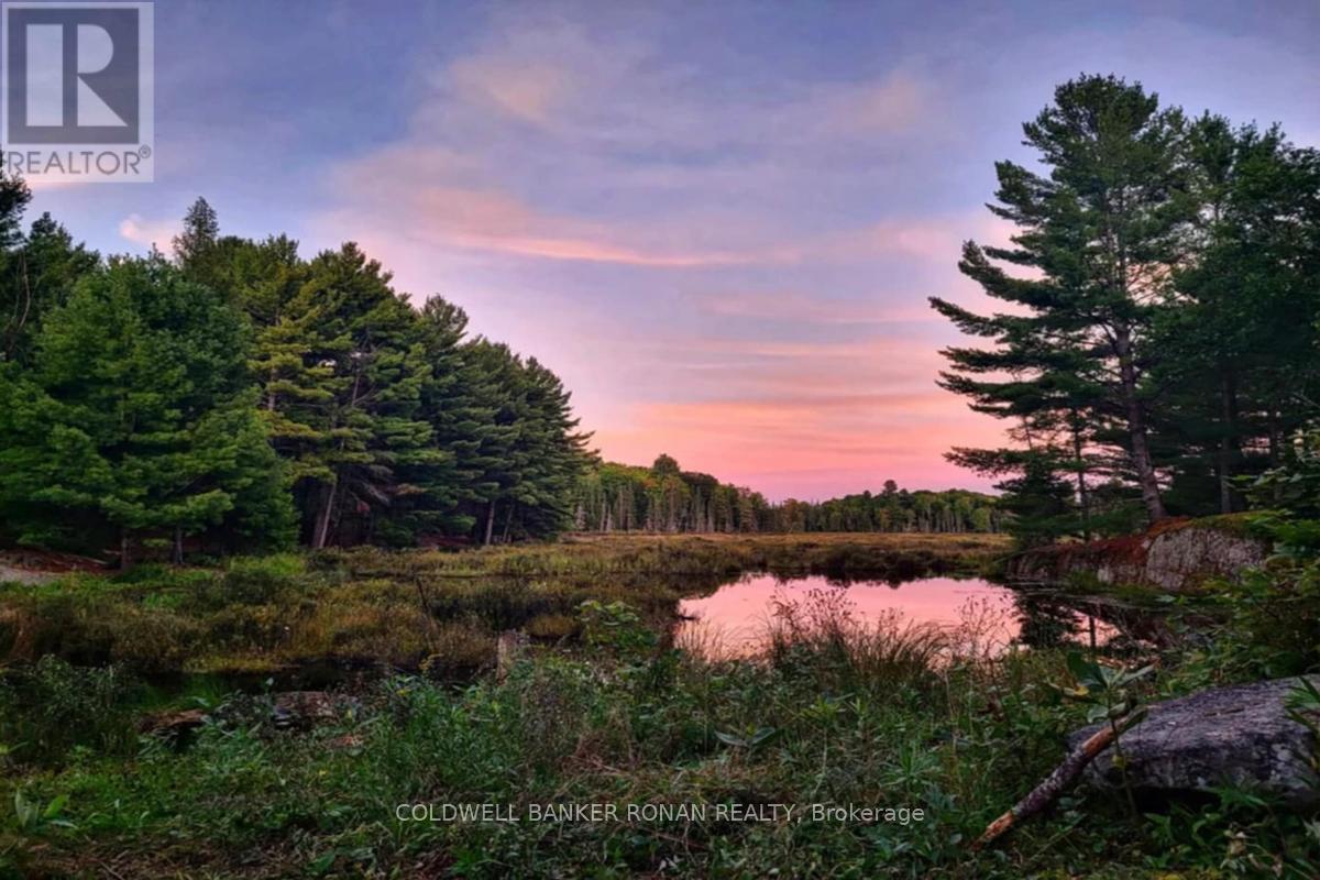 1187 Windermere Route, Muskoka Lakes, Ontario  P0B 1M0 - Photo 24 - X10432978