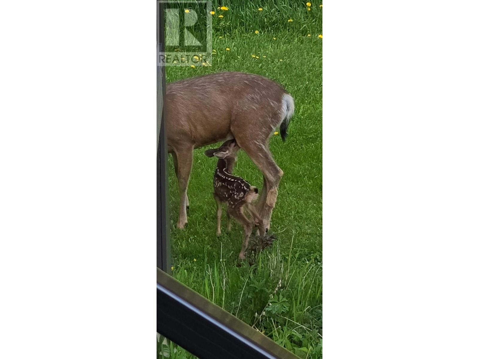 13017 Jarman Road, Houston, British Columbia V0J 1Z2 - Photo 30 - R2945854