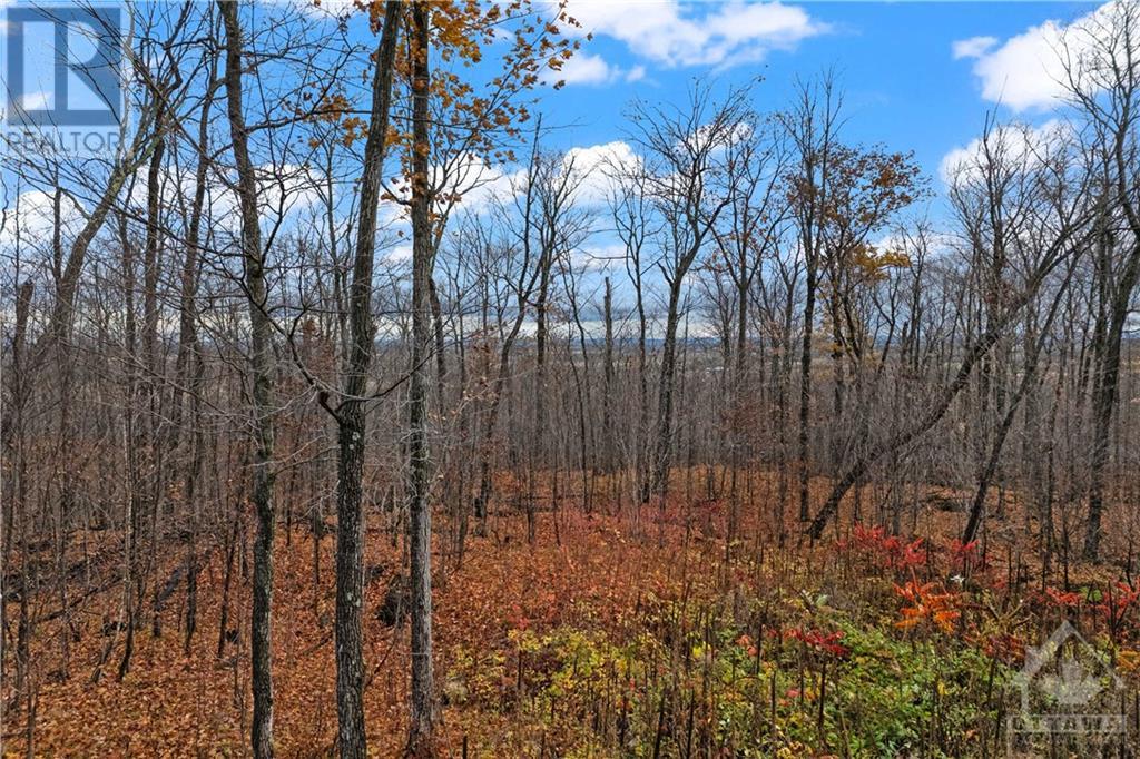 01 Carbine Road, Mississippi Mills, Ontario  K0A 2X0 - Photo 4 - X10433548