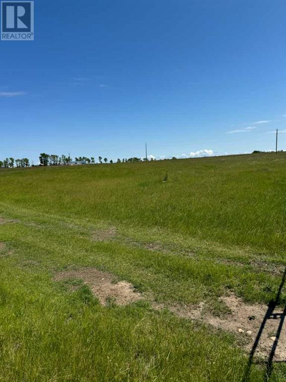 Range Road 243 Township Road 242 A, Strathmore, Alberta  T1P 2C4 - Photo 3 - A2180263