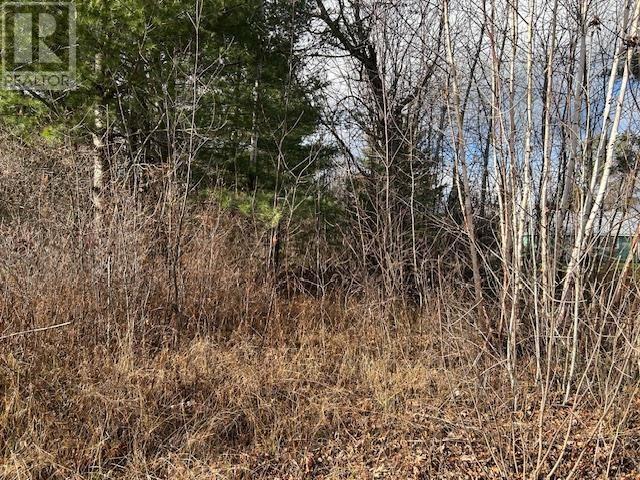 34 Mississagi Cres, Iron Bridge, Ontario  P0R 1H0 - Photo 2 - SM242985