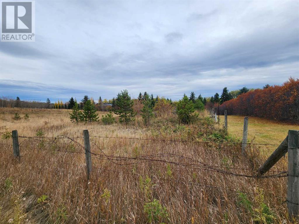 Lot 23, 26553 11 Highway, Rural Red Deer County, Alberta  T4E 1A5 - Photo 4 - A2174352