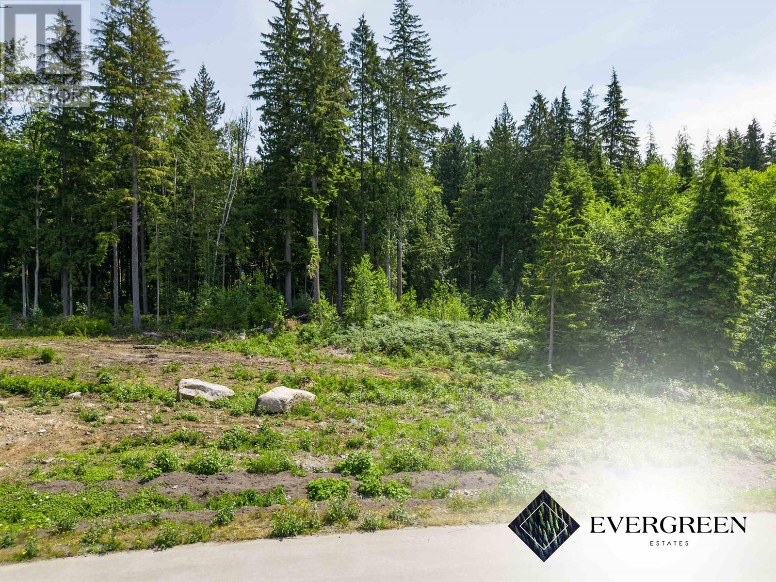 12402 271 Street, Maple Ridge, British Columbia  V2W 1C2 - Photo 3 - R2946133