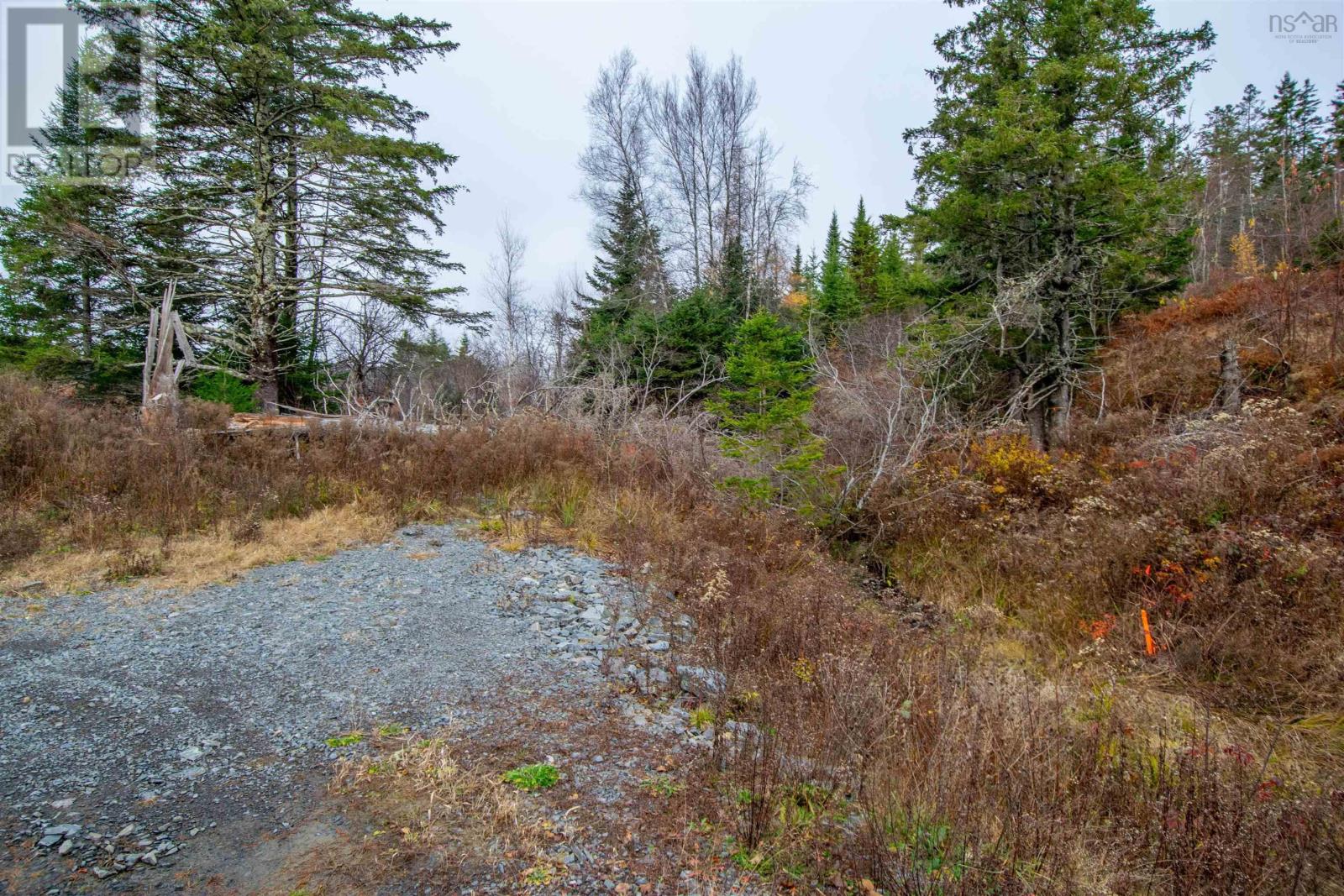 Lot Danyella's Lane, South Rawdon, Nova Scotia  B0N 1Z0 - Photo 33 - 202427116