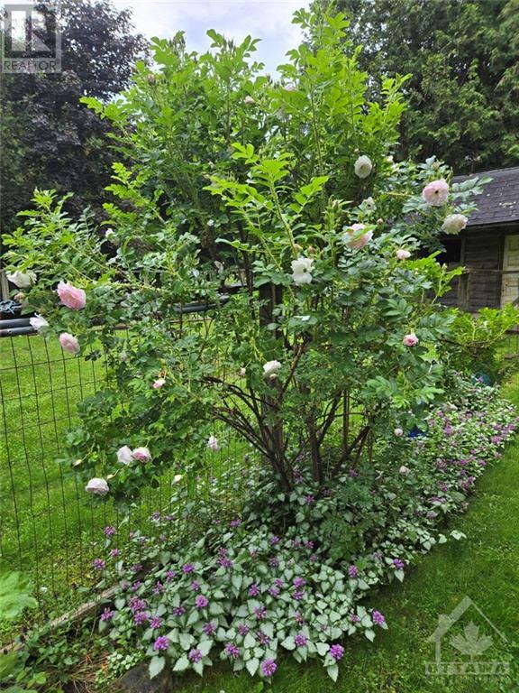 545 Richmond Road, Beckwith, Ontario K0A 1B0 - Photo 29 - X10441573