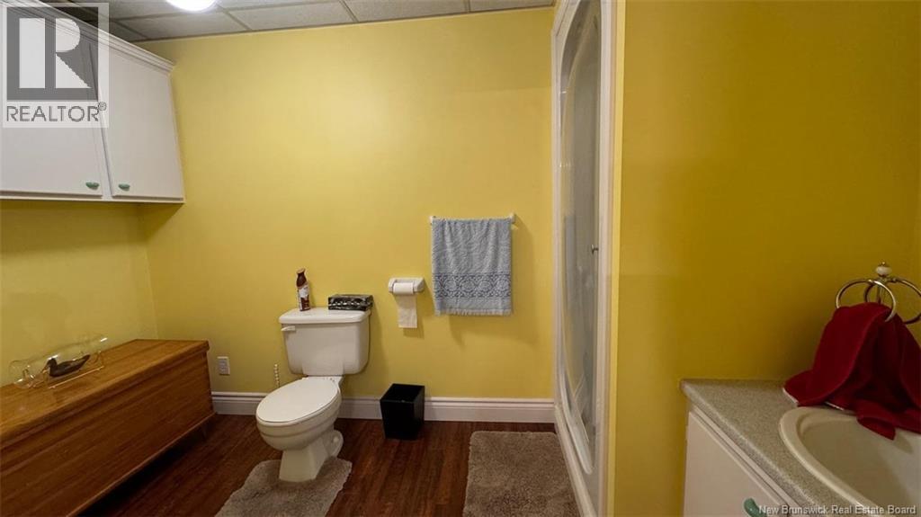 5 Ryan Lane, Grand-Sault/grand Falls, New Brunswick  E3Z 2Z5 - Photo 29 - NB109607