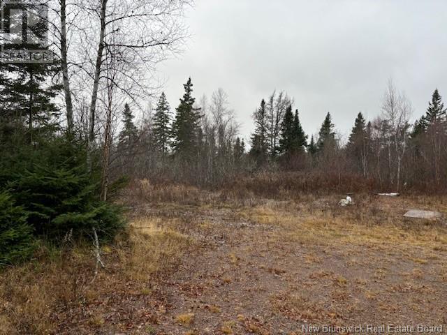 Lot 1 Poodiac Road, Poodiac, New Brunswick  E4E 5G6 - Photo 3 - NB109612