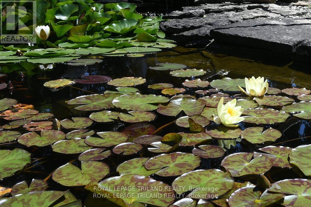 5103 Dundas Street, Thames Centre, Ontario  N0M 2P0 - Photo 24 - X10441801