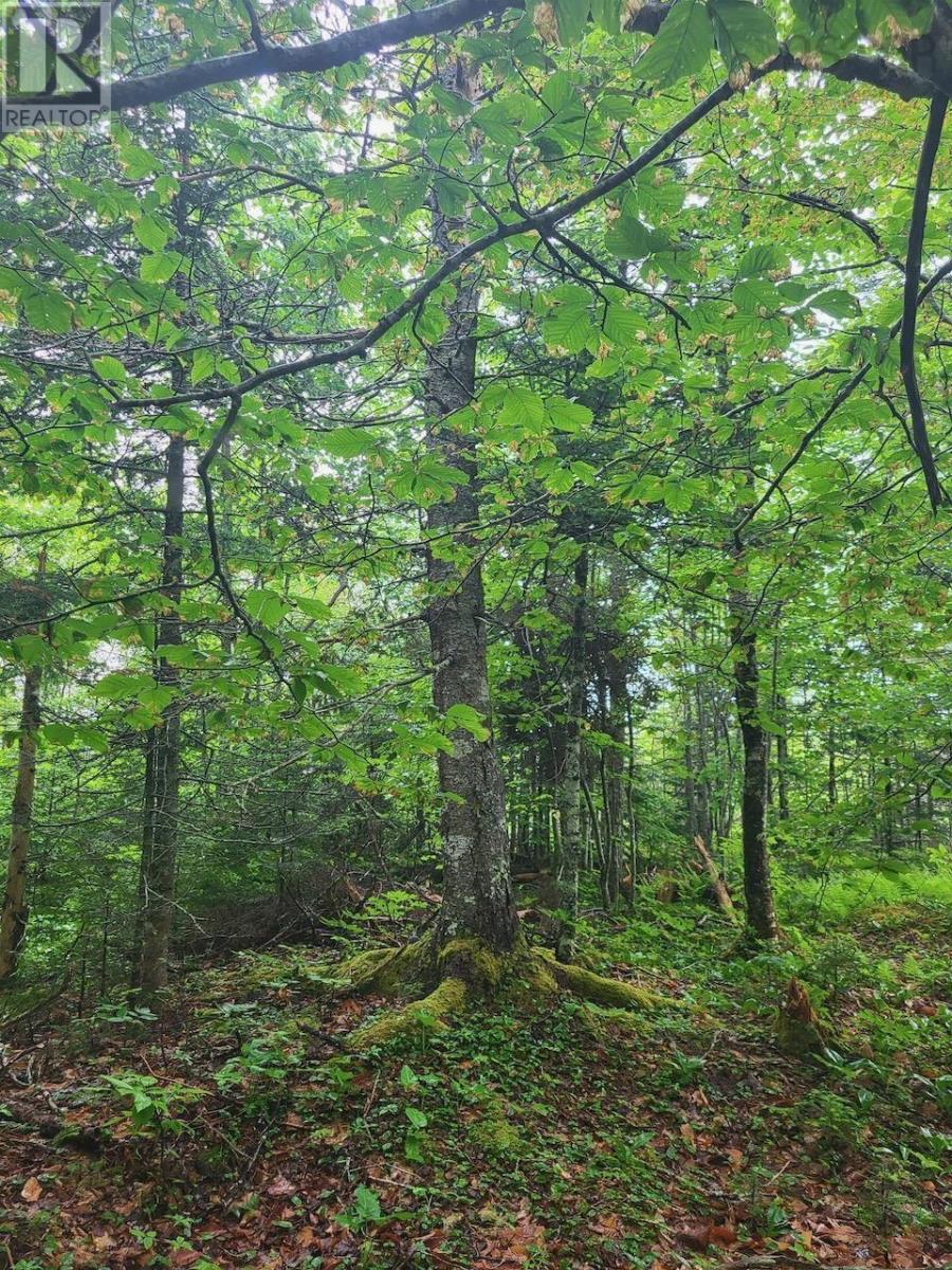 2023 Hampton Mountain Road, Hampton, Nova Scotia  B0S 1L0 - Photo 4 - 202427150