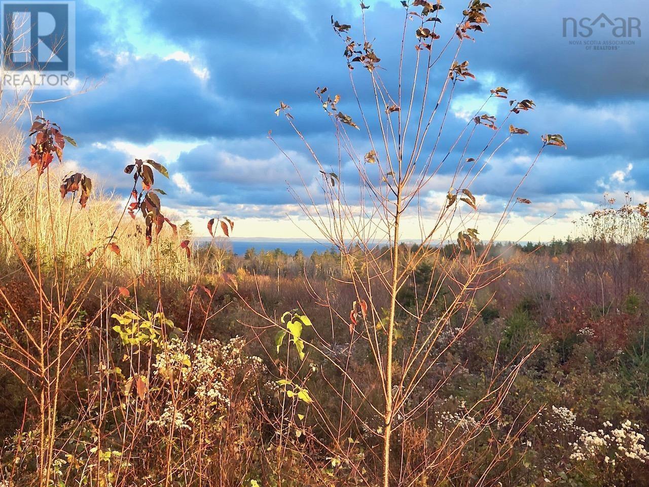 2023 Hampton Mountain Road, Hampton, Nova Scotia  B0S 1L0 - Photo 7 - 202427150