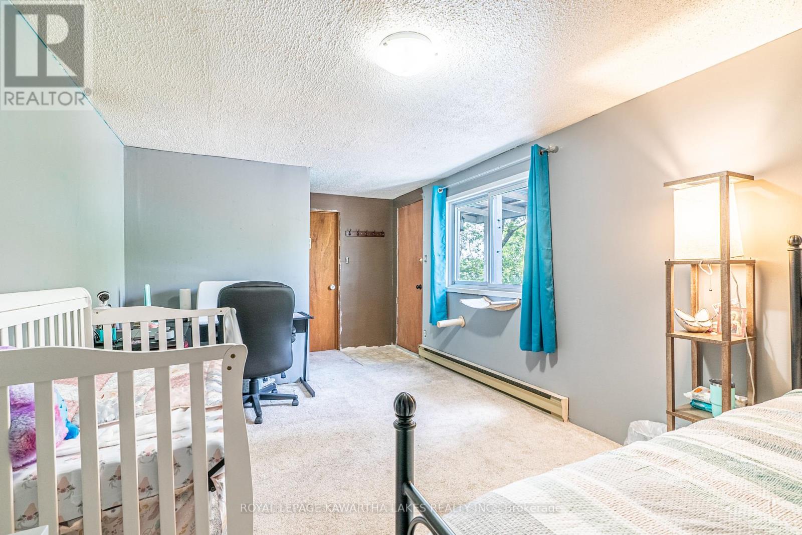 13 Eva Street, Kawartha Lakes, Ontario  K0M 1N0 - Photo 22 - X10441949