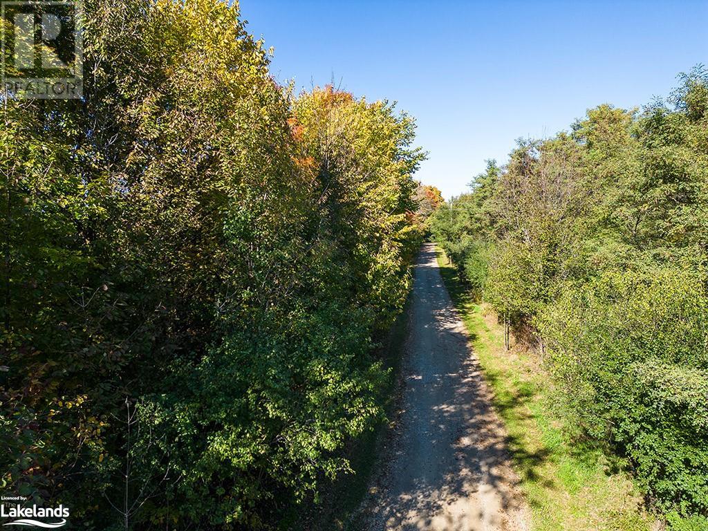 46447 Old Mail Road, Meaford, Ontario  N4L 1W7 - Photo 3 - 40679433