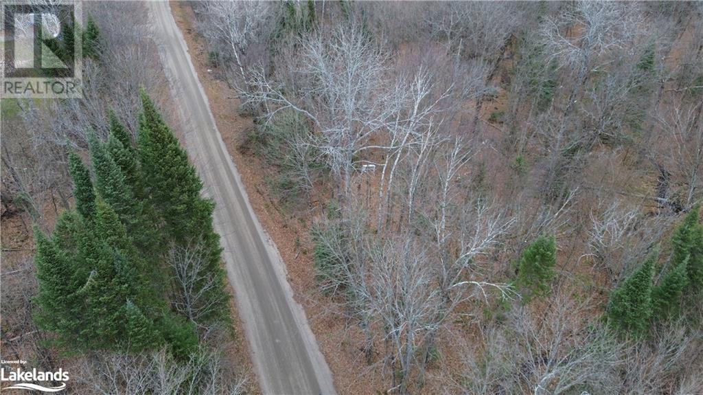 Coumbs Road, Haliburton, Ontario  K0M 1S0 - Photo 12 - 40679957