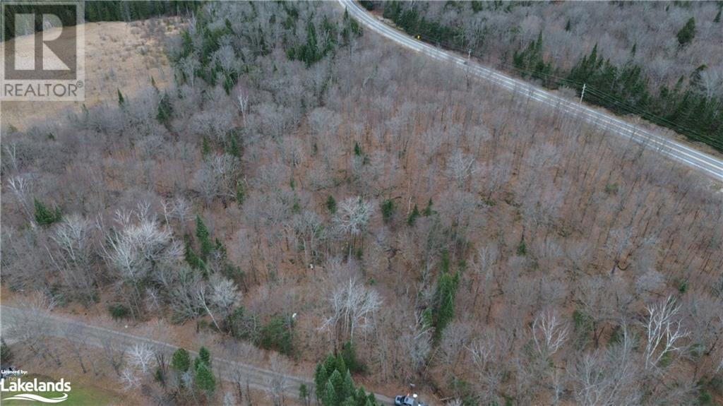 Coumbs Road, Haliburton, Ontario  K0M 1S0 - Photo 8 - 40679957