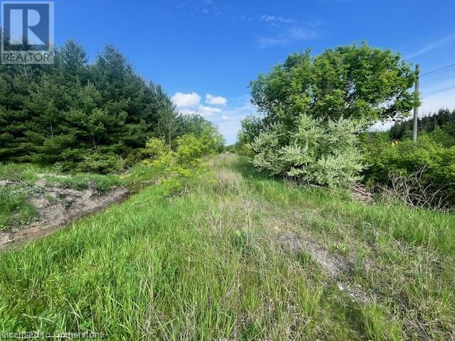 Pt Lt 16 Hutchinson Road, Dunneville, Ontario  N1A 2W2 - Photo 2 - 40680392