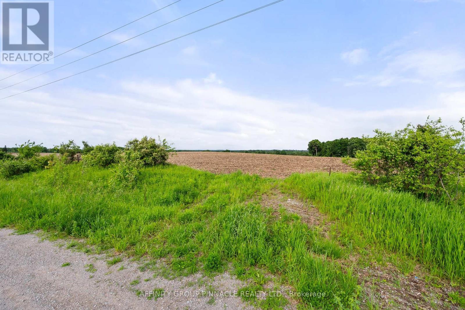 0 Ridge Road, Brock, Ontario  L0E 1E0 - Photo 9 - N10442870