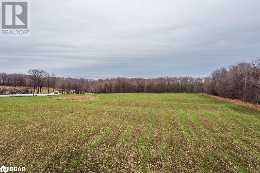 363 12 Line N, Hawkestone, Ontario  L0L 1T0 - Photo 29 - 40680422