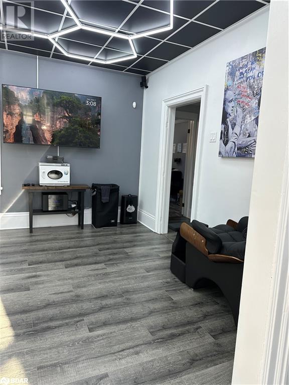 185 Bayfield Street, Barrie, Ontario  L4M 3B4 - Photo 8 - 40679852