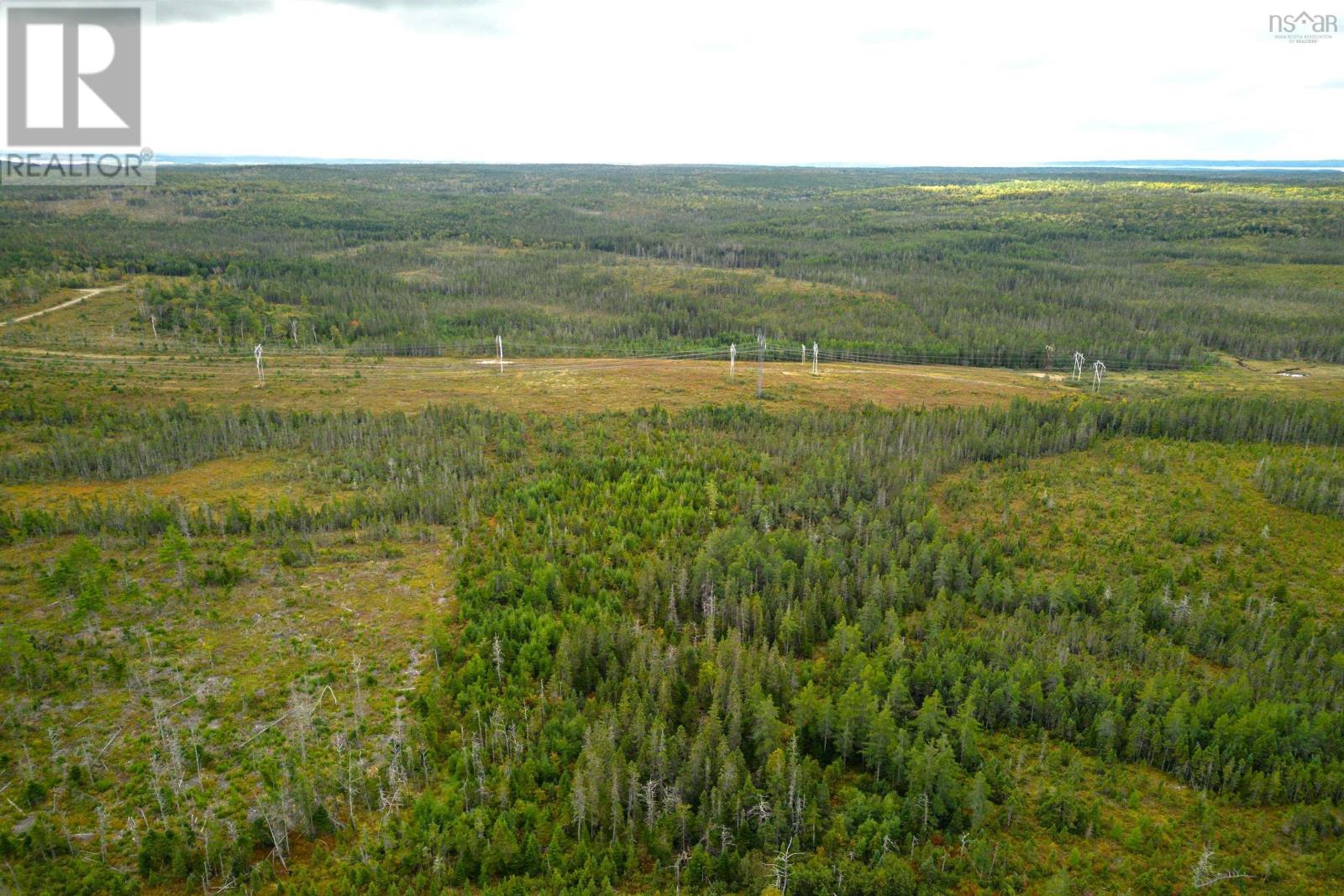 50 Acres Rear Black River Road, Grande Anse, Nova Scotia  B0E 3K0 - Photo 12 - 202426605