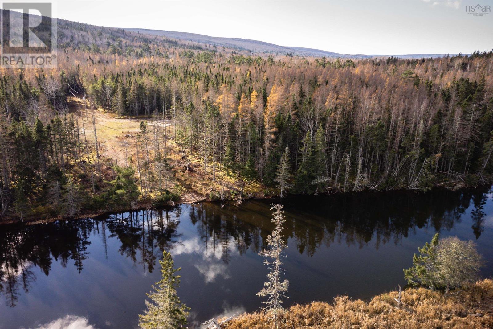 2281 South S River Denys Rd, Valley Mills, Nova Scotia  B0E 2Y0 - Photo 10 - 202427196