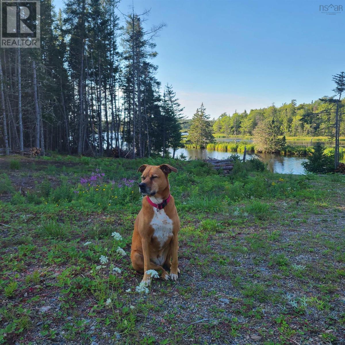 2281 South S River Denys Rd, Valley Mills, Nova Scotia  B0E 2Y0 - Photo 7 - 202427196