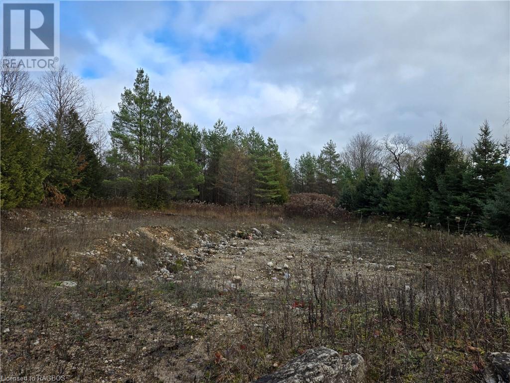 Pt Lt 8 E/s Salter Street, Williamsford, Ontario  N0H 2V0 - Photo 5 - 40680530