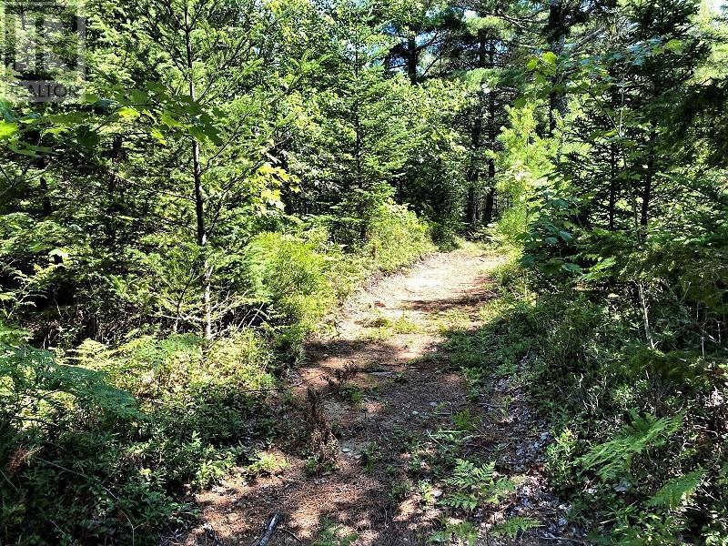 198 Happy Valley Lane, Lower Clyde River, Nova Scotia  B0W 1R0 - Photo 23 - 202427216