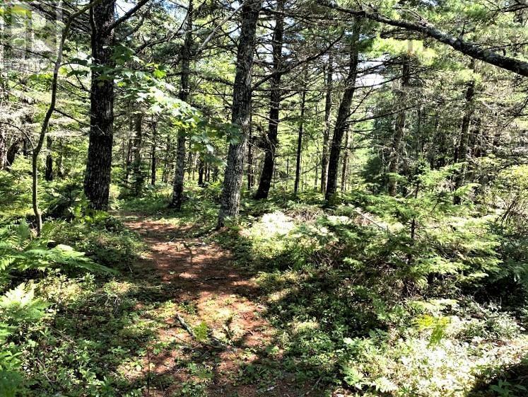 198 Happy Valley Lane, Lower Clyde River, Nova Scotia  B0W 1R0 - Photo 24 - 202427216