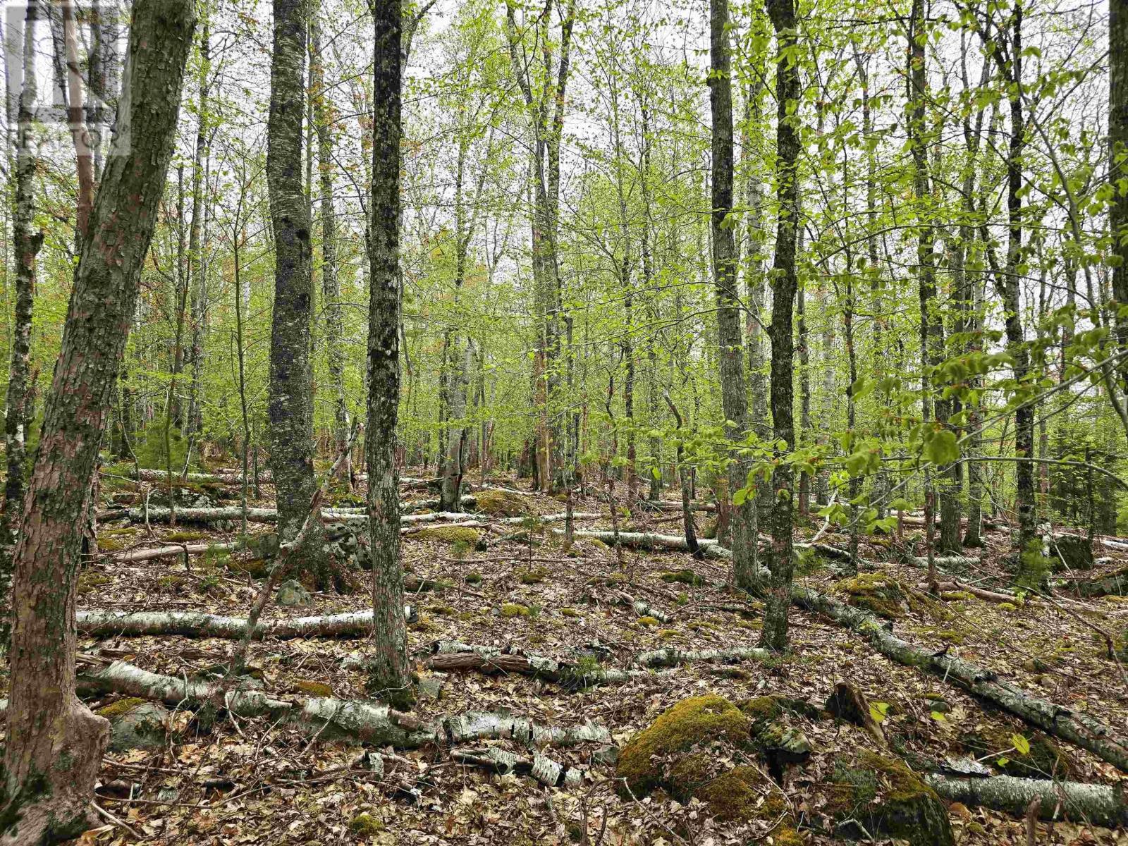 Lot 31 Ponhook Drive, Labelle, Nova Scotia  B0T 1E0 - Photo 40 - 202410551