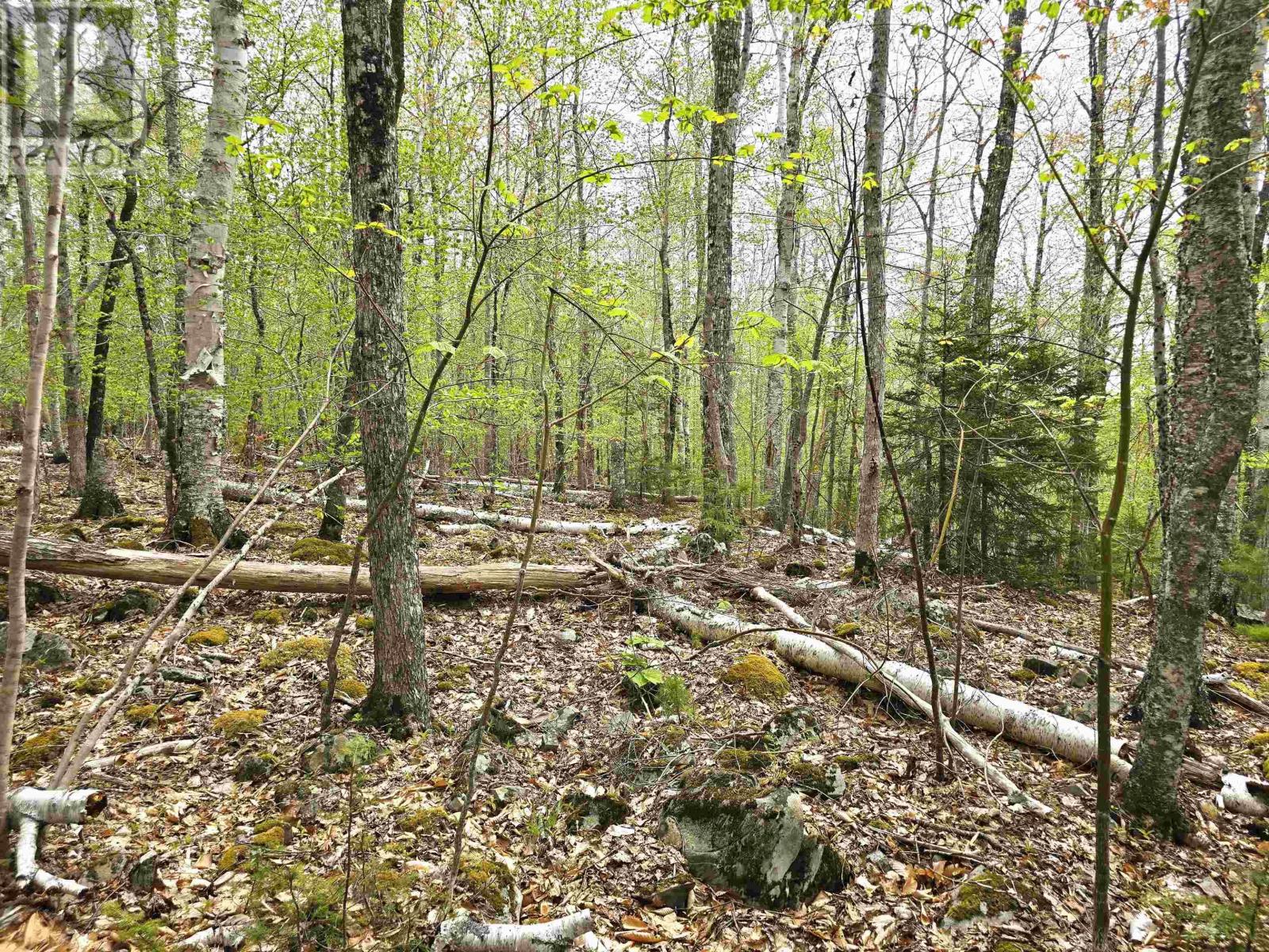 Lot 31 Ponhook Drive, Labelle, Nova Scotia  B0T 1E0 - Photo 47 - 202410551