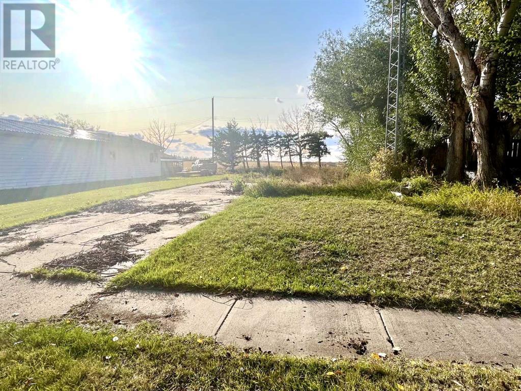 4834 59 Street, Killam, Alberta T0B 2L0 - Photo 4 - A2085093