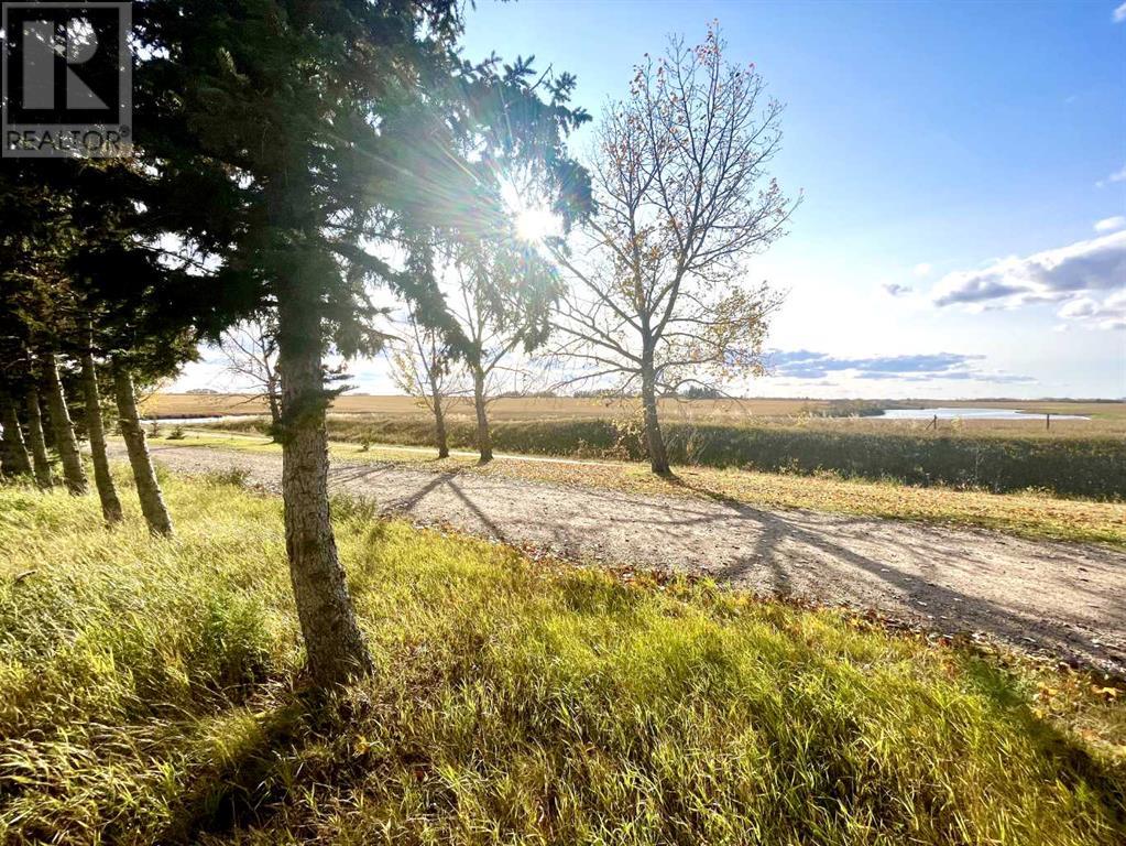 4834 59 Street, Killam, Alberta T0B 2L0 - Photo 3 - A2085093