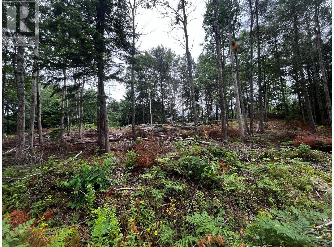 Lot 6 Prime Lane Road, White Rock, Nova Scotia  B4P 2R2 - Photo 4 - 202427243