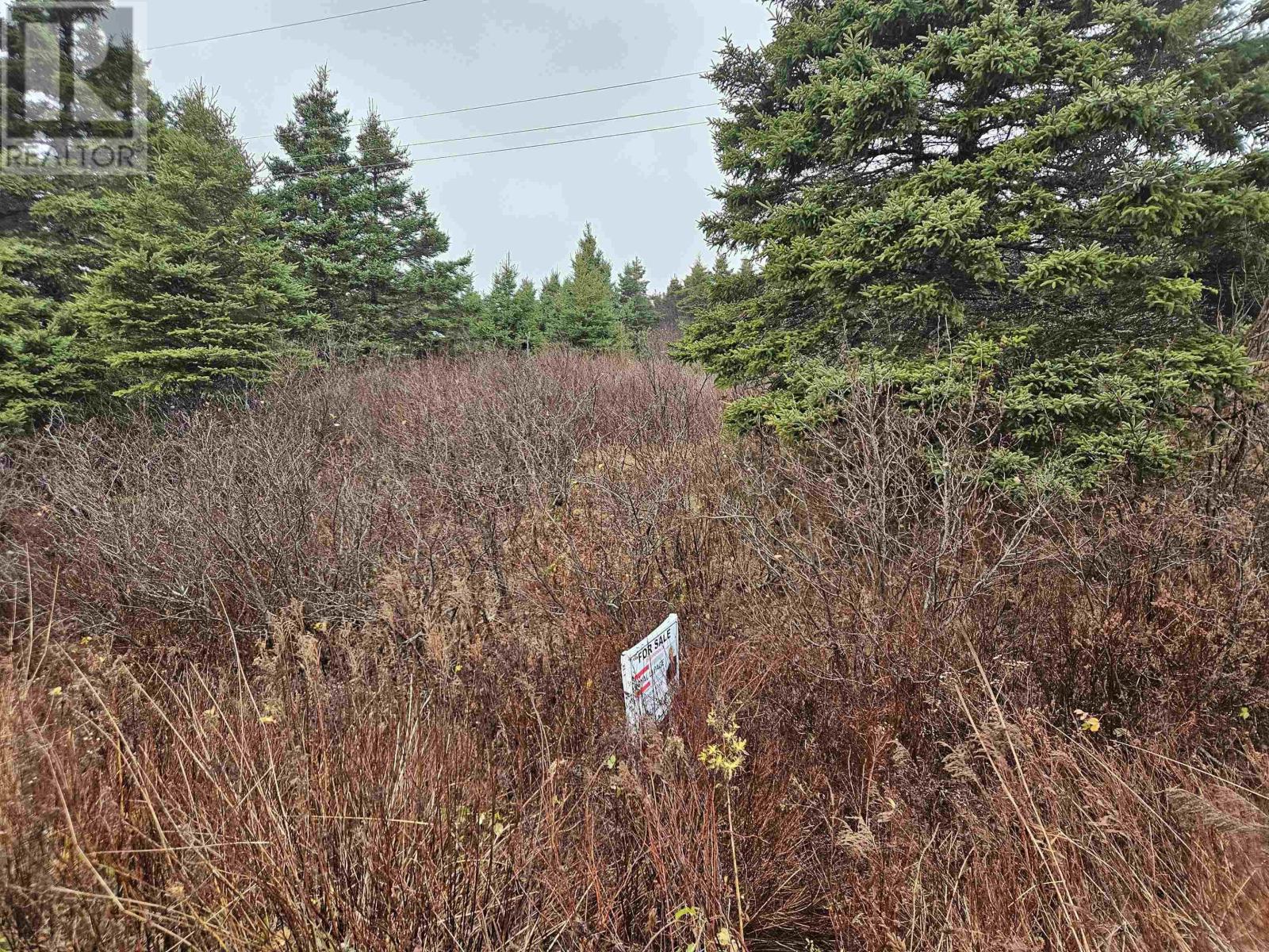 Lot 11-1 Wharf Road, Ecum Secum, Nova Scotia  B0J 3B0 - Photo 1 - 202427258