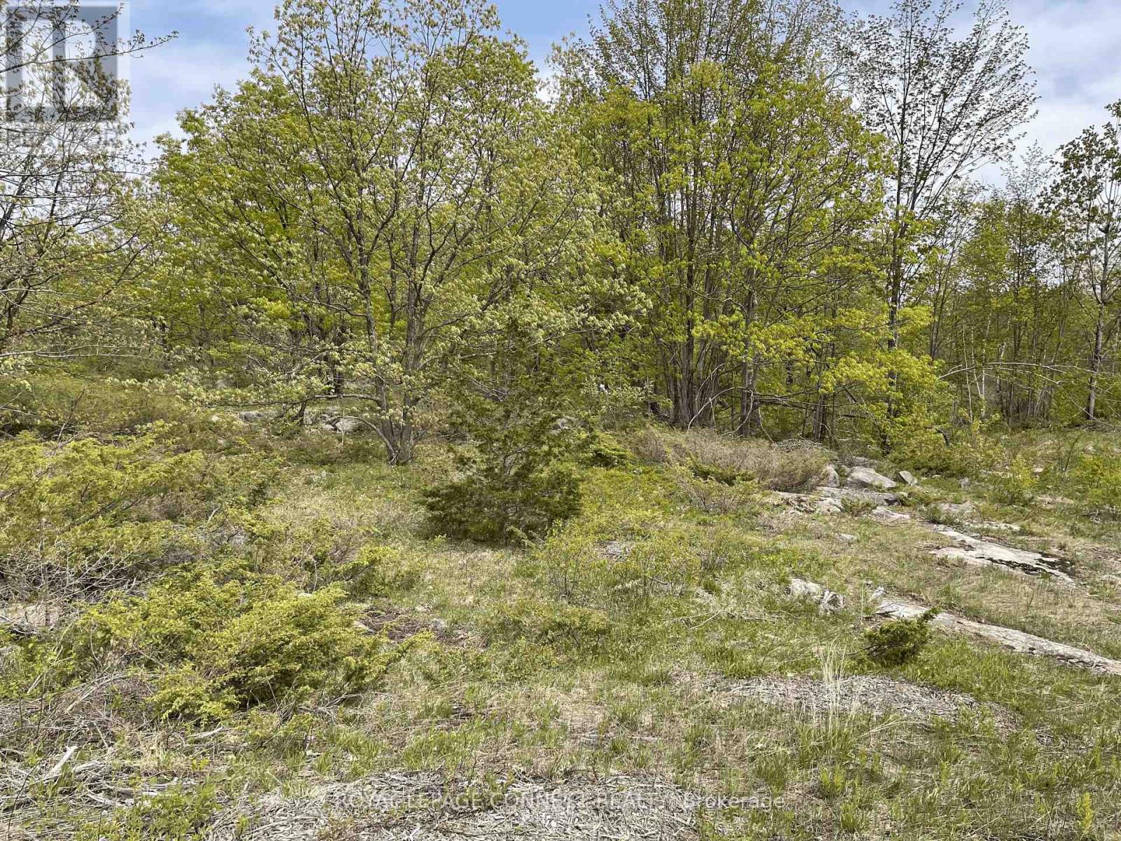 Pt Lt 12 Con 7 Kaladar, Addington Highlands, Ontario  K0K 1Z0 - Photo 1 - X10874884