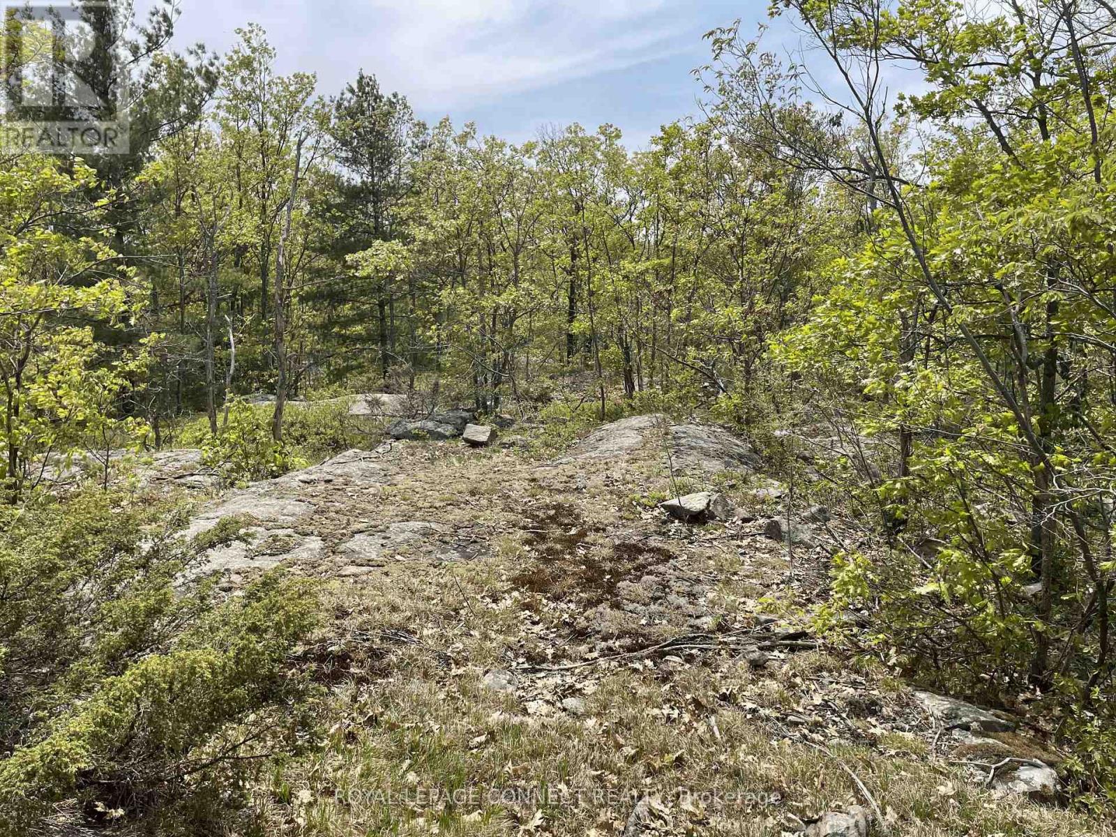 Pt Lt 12 Con 7 Kaladar, Addington Highlands, Ontario  K0K 1Z0 - Photo 13 - X10874884