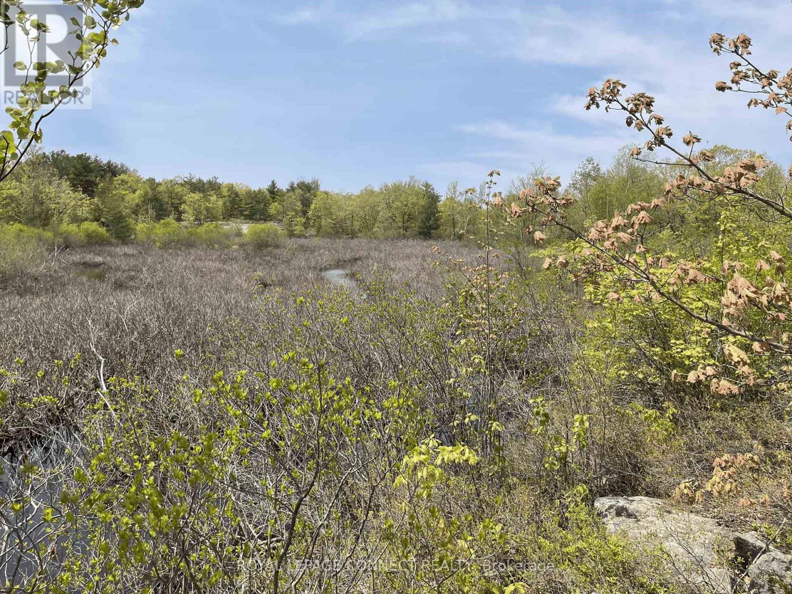 Pt Lt 12 Con 7 Kaladar, Addington Highlands, Ontario  K0K 1Z0 - Photo 15 - X10874884