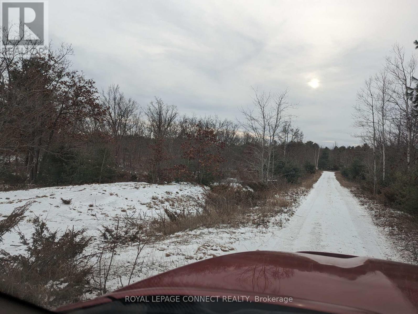 Pt Lt 12 Con 7 Kaladar, Addington Highlands, Ontario  K0K 1Z0 - Photo 19 - X10874884
